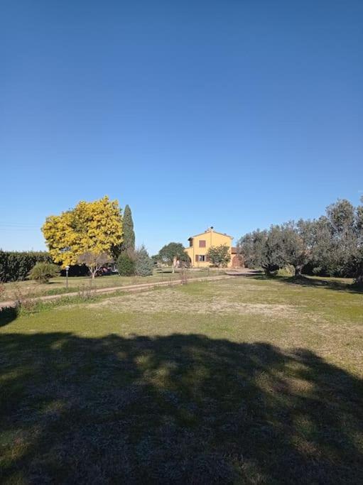 La Casina Di Campagna Tra Cecina E Bibbona Villa Exterior photo