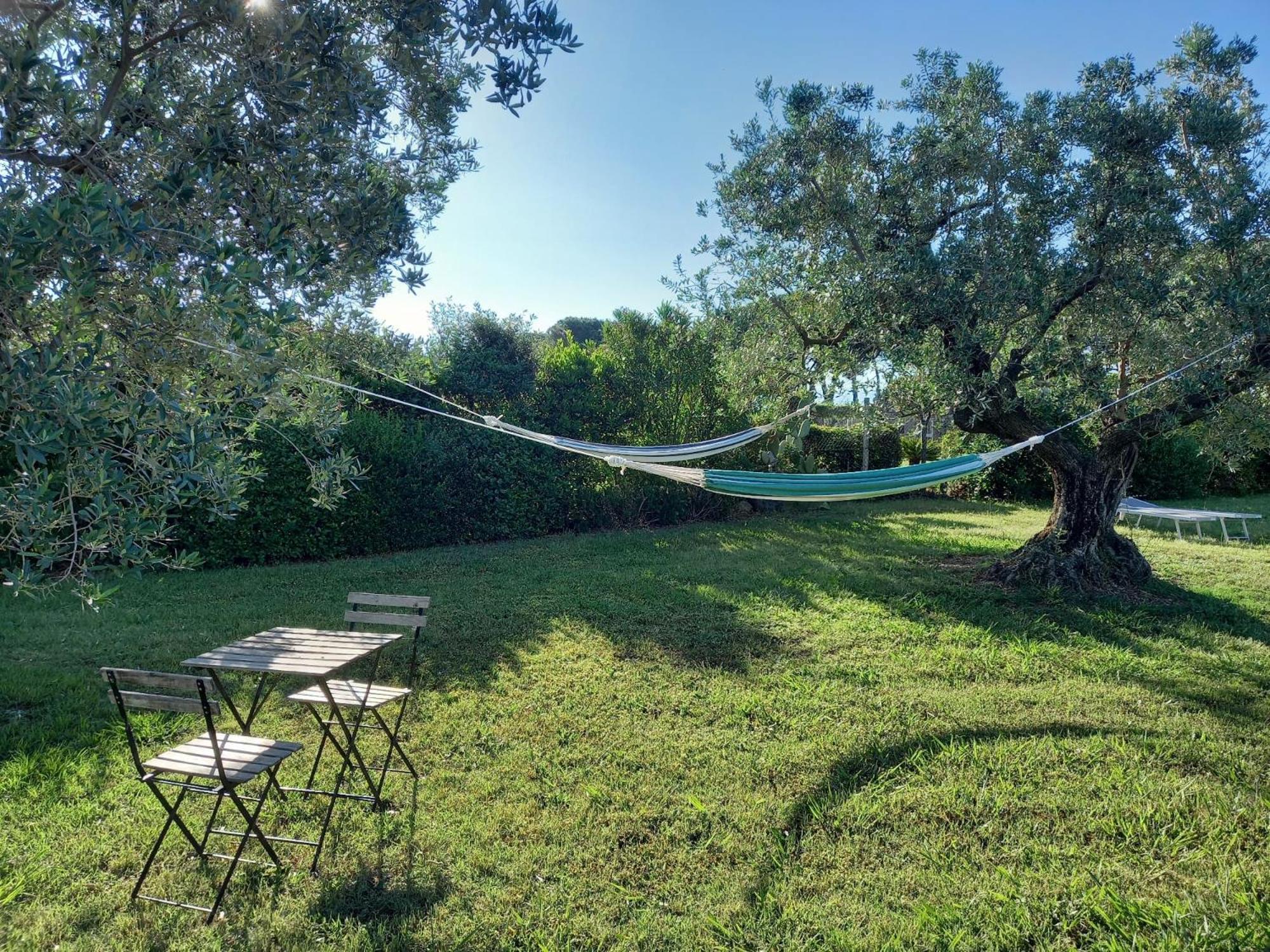 La Casina Di Campagna Tra Cecina E Bibbona Villa Exterior photo